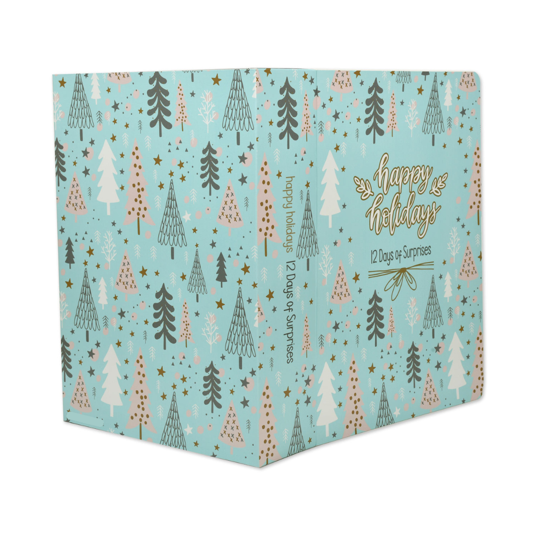 Limited Edition | 12 Days of Snacking Advent Calendar | Pre-Order Now | Ships by November 25th